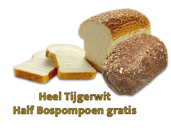 Verhoog's wit tijger