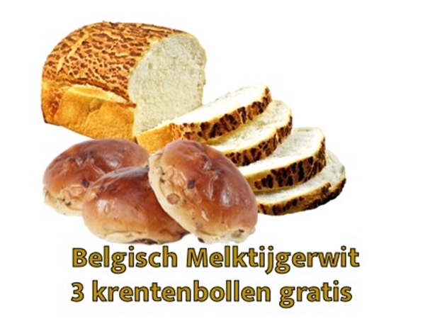 Belgisch Melk Tijgerwit